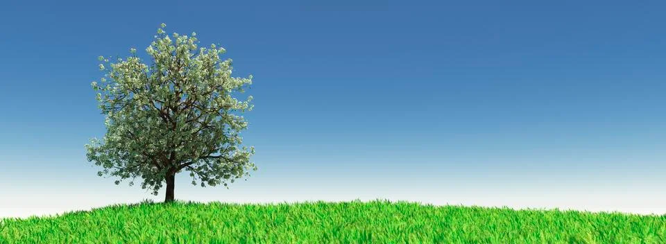 Almond trees Stock Illustration