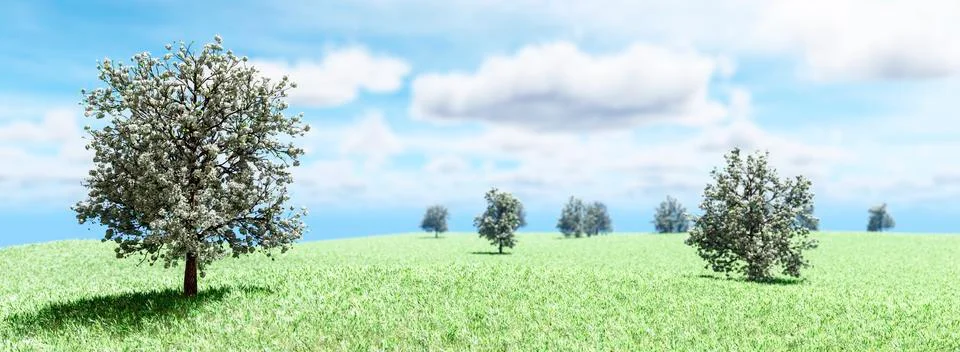 Almond trees Stock Illustration