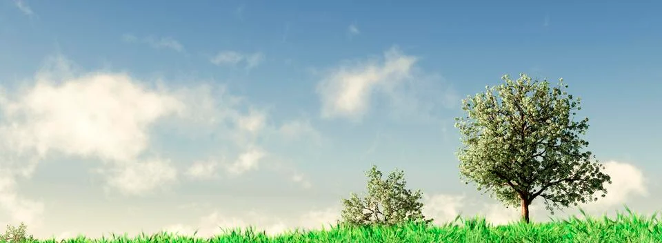 Almond trees Stock Illustration