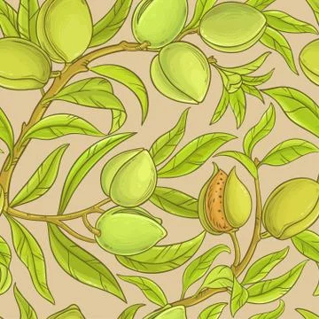 Almond vector pattern Stock Illustration