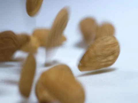 Almond Waterfall 4K Pro Res Stock Footage 79442952