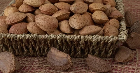 Almonds and Brazil nuts in shell. Stock Footage 282107029