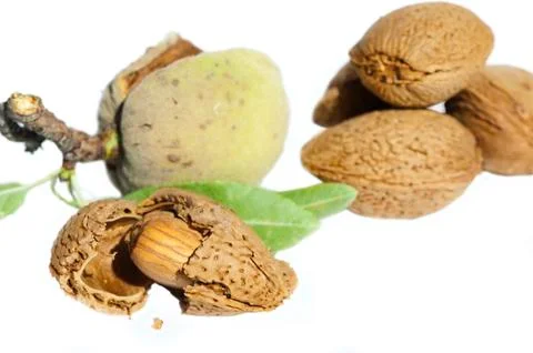 Almonds and leafs Stock Photos