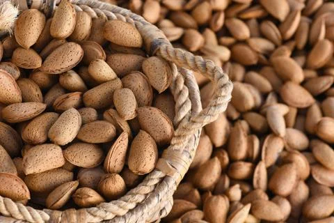 Almonds in basket Stock Photos