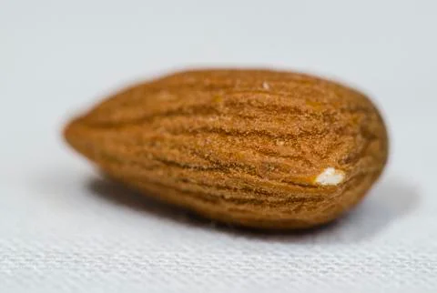 Almonds Close Up Stock Photos