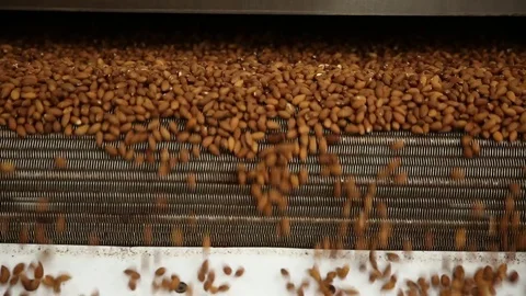 Almonds in Factory Stock Footage