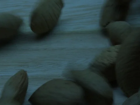 Almonds fall Stock Footage 80301970