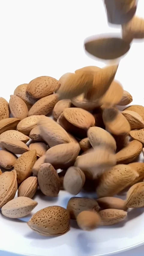 Almonds falling into a bowl in slow motion Vídeos de archivo 336471049