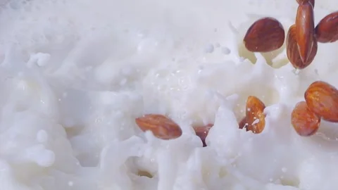 Almonds falling into milk, creating splashes and foam in slow motion 300fps Stock Footage 287999060