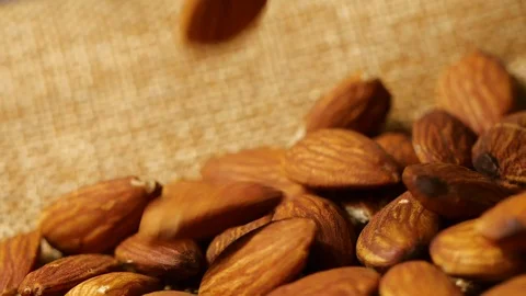 Almonds falling in slow motion, close-up Stock Footage 113594579