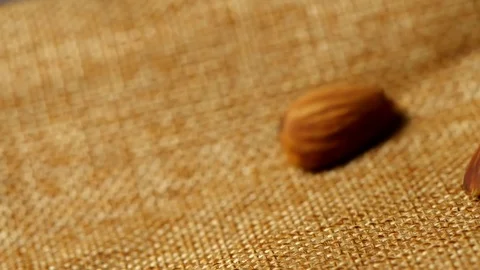 Almonds falling in slow motion, close-up 스톡 동영상 113594611