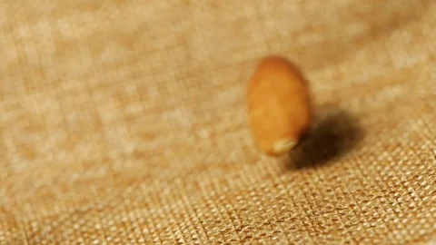 Almonds falling in slow motion, close-up Stock-Footage 113594613