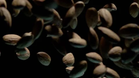 Almonds Flies After Being Exploded a Video stock 154329691