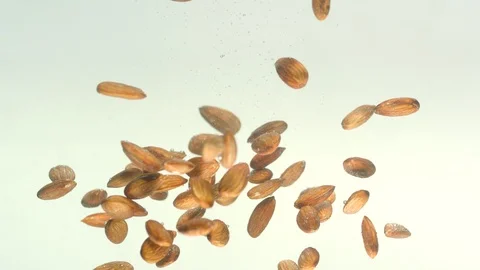 Almonds Floating 2K 库存影片 92507682