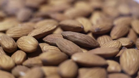 Almonds Stock Footage 102825178