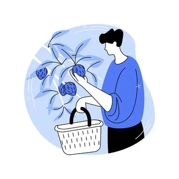 Almonds growing isolated cartoon vector illustrations. Stockillustratie