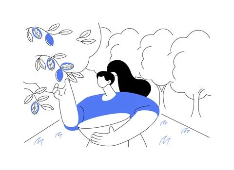 Almonds growing isolated cartoon vector illustrations. Stockillustratie