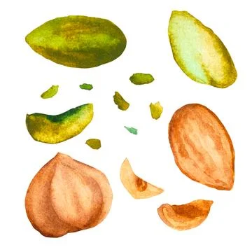 Almonds, hazelnuts, pistachios isolated on white background. Set of watercolor Stock Illustration