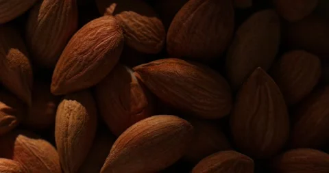 Almonds Illuminated by Warm Sunray Lighting Stock Footage 295142265