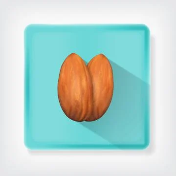 Almonds Stock Illustration