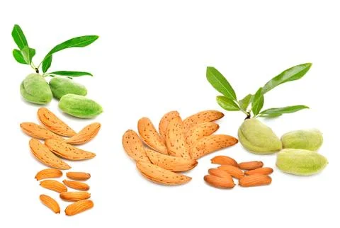 Almonds isolated Stock Photos
