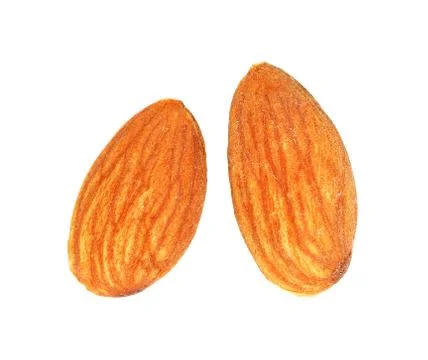 Almonds isolated on white background Stock Illustration