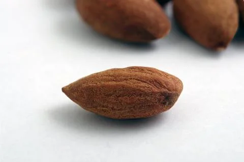 Almonds isolated on a white background Stock Photos