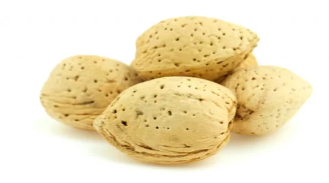 Almonds isolated on white in different forms: Raw in shell, unshelled, slices Video stock 47179011