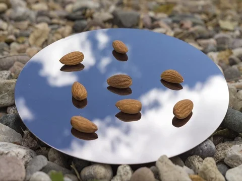 Almonds on mirror Stock Footage
