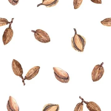 Almonds nut in nutshell. Watercolor seamless pattern. Botanical illustration Stock Illustration