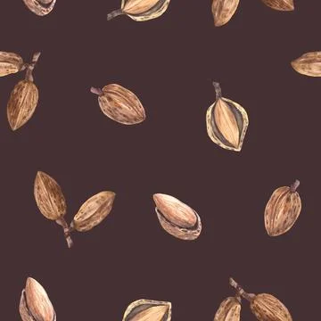 Almonds nut in nutshell. Watercolor seamless pattern. Botanical illustration Stock-Illustration