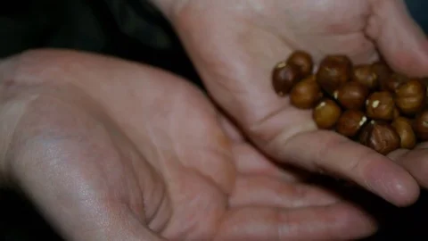 Almonds , nuts almonds, nuts in man's hand Stockbeeldmateriaal 84963833