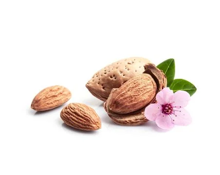 Almonds nuts with flower Stock Photos