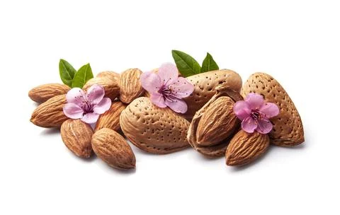 Almonds nuts with flowers Stock Photos