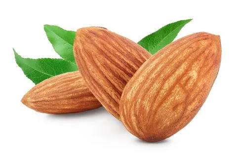 Almonds nuts isolated on white background with clipping path and full depth of Stock Photos
