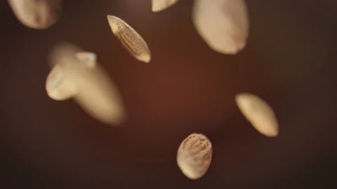 Almonds Nuts Splash Into Liquid Chocolate in 4K Super slow motion Stock Footage 136113327