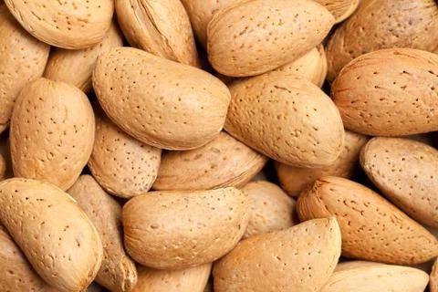 Almonds in nutshell Stock Photos