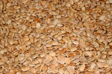 Almonds Stock Photos
