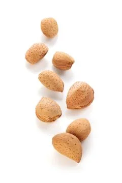 Almonds. Stock Photos
