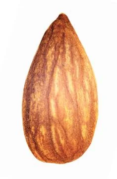 Almonds Stock Photos