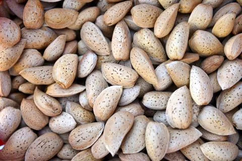 Almonds Stock Photos