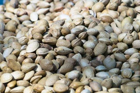 Almonds Stock Photos