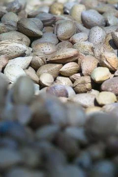 Almonds Stock Photos