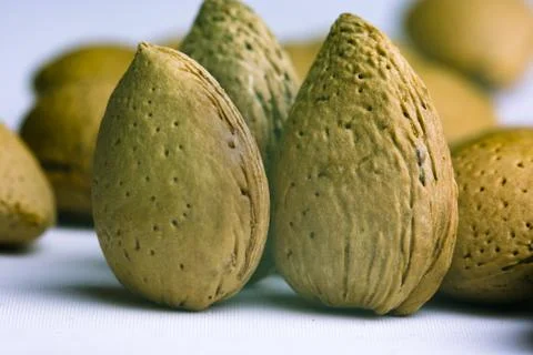 Almonds Stock Photos