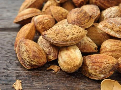 Almonds Stock Photos