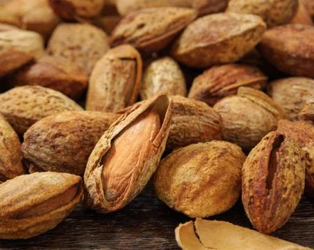 Almonds 스톡 사진