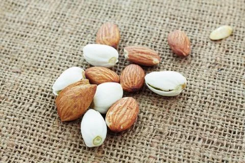 Almonds on sackcloth. Stock Photos
