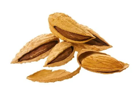 Almonds shell with clipping path Stock Photos