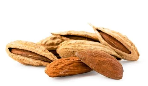 Almonds in shell closeup on a white. Isolated. Stock Photos