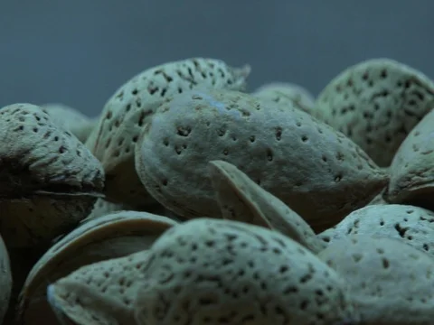 Almonds with shell Stock Footage 80276941